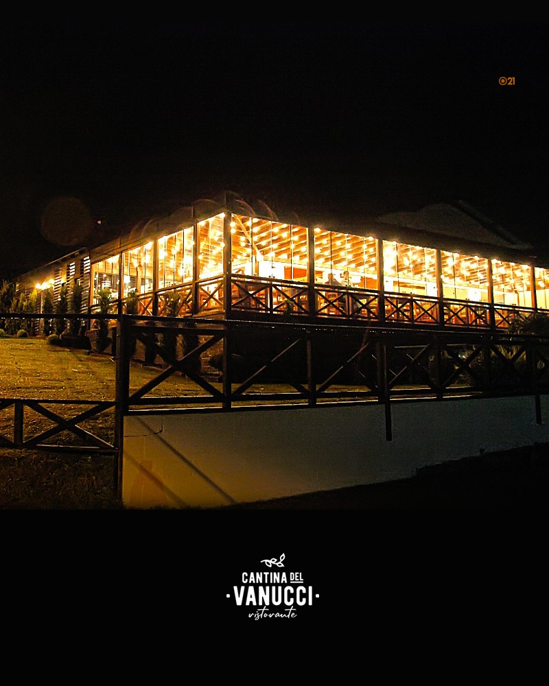 Tour Vale dos Vinhedos + Caminho de Pedras - Imagem 10