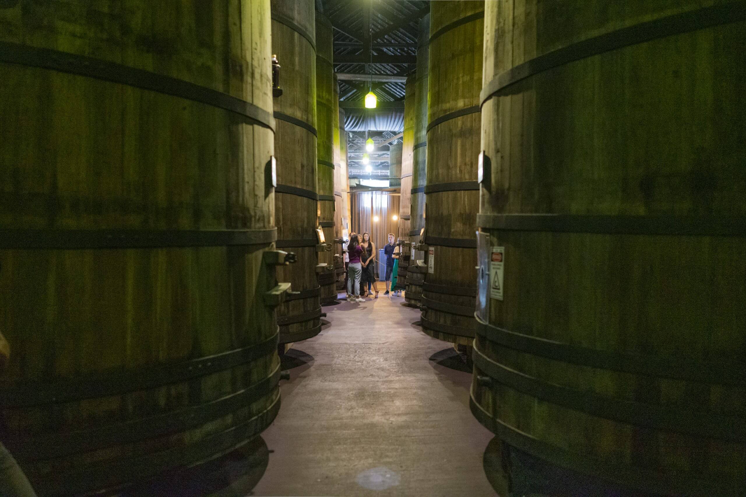 Tour Uva e Vinho com Maria Fumaça - Imagem 6