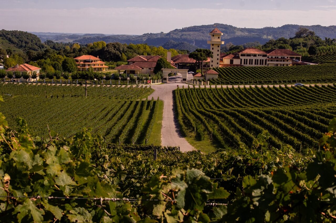 Tour Vale dos Vinhedos + Caminho de Pedras