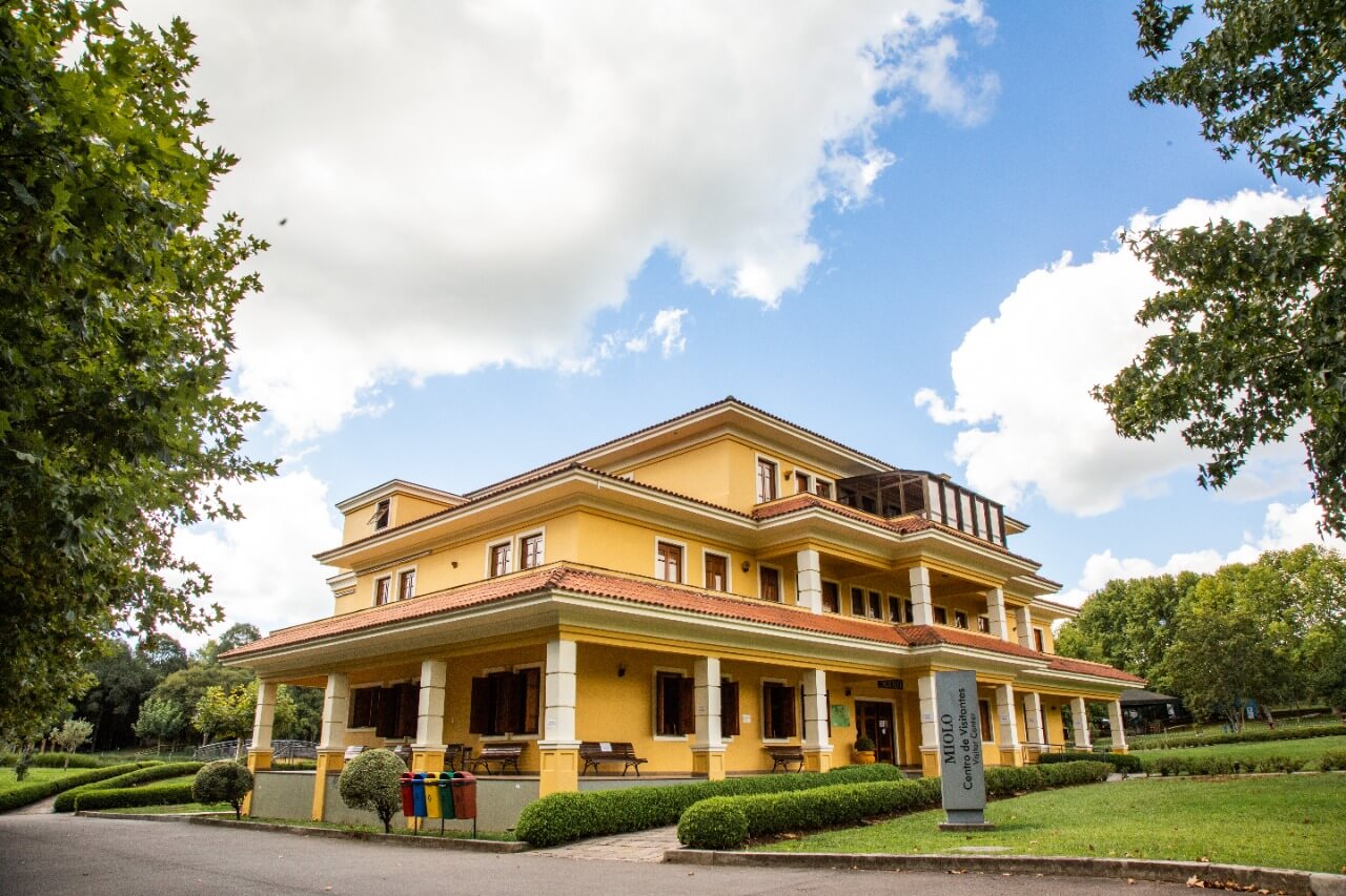 Tour Vale dos Vinhedos + Caminho de Pedras - Imagem 6