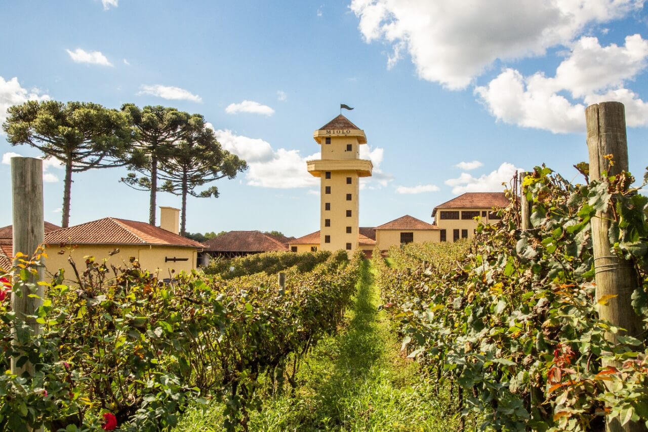 Tour Vale dos Vinhedos + Caminho de Pedras - Imagem 7