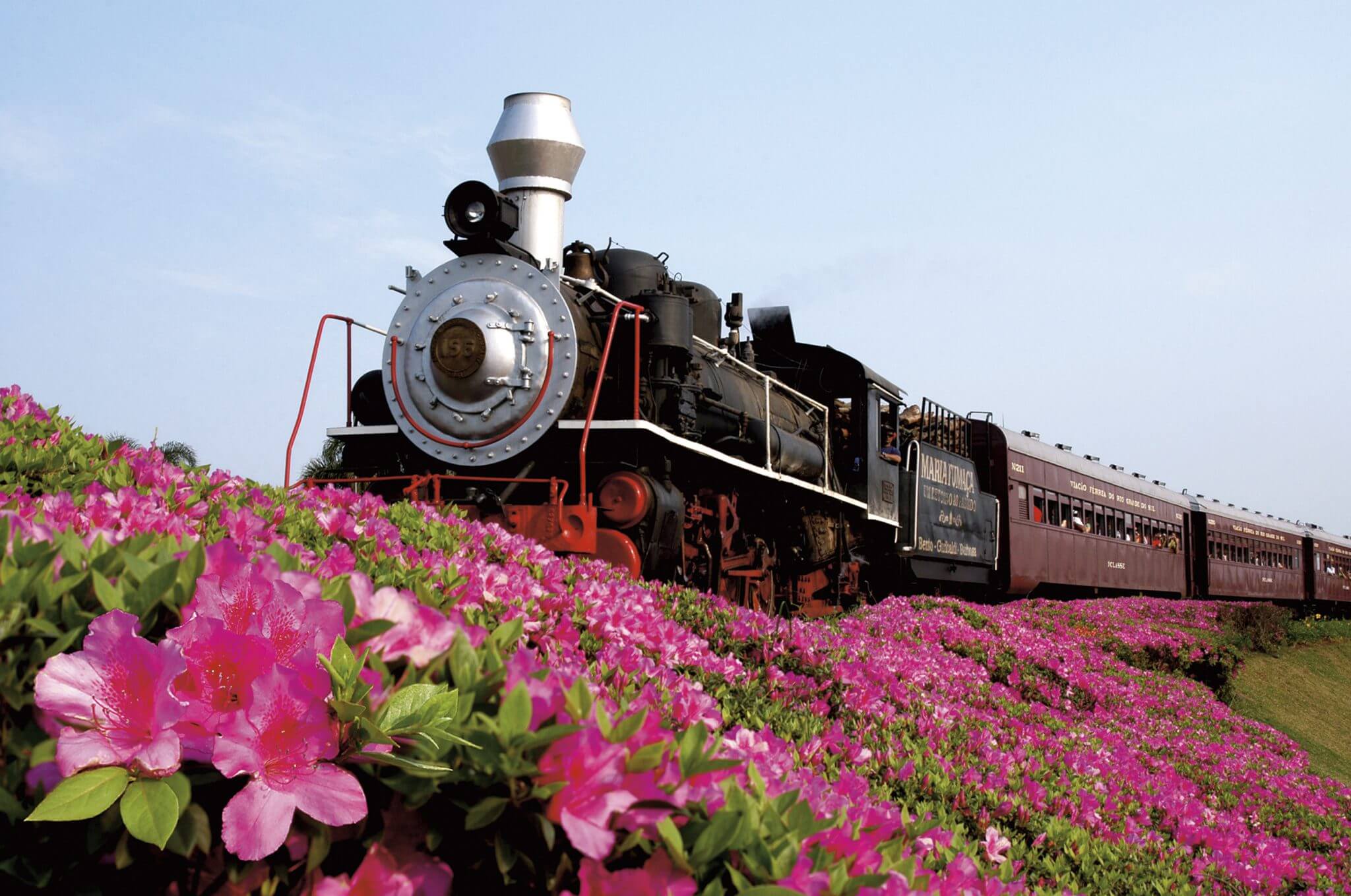 Tour Uva e Vinho com Maria Fumaça - Imagem 5